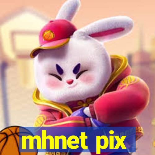 mhnet pix